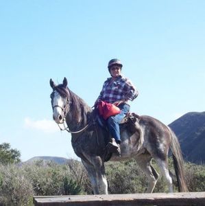 Meet your Posher, Dee